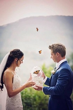 butterfly release