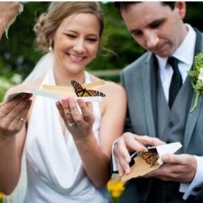 butterfly release